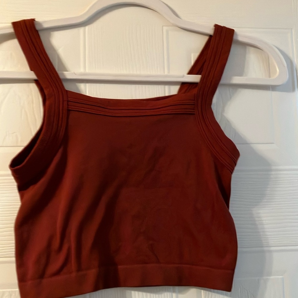 Out from under Rust Red Crop Top